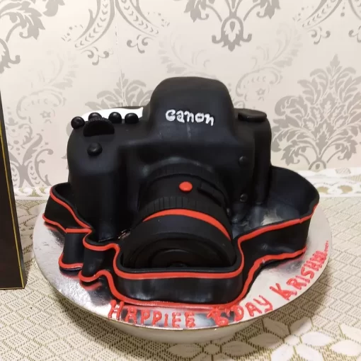 Camera Fondant Cake