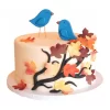 Fall Birds Fondant Cake From Lallantop Cake Shop Noida And East Delhi From Lallamtop Cake Shop