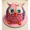 Pinki The Owl Fondant Cake From Lallantop Cake Shop Noida And East Delhi From Lallamtop Cake Shop