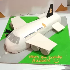 Singapore Airlines Airplane Cake from LallanTop Cake Shop - Delivery in East Delhi, South-East Delhi, Ghaziabad and Noida