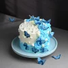 fluttering butterfly fantasy cake from lallantop cake shop noida and east delhi From LallamTop Cake Shop